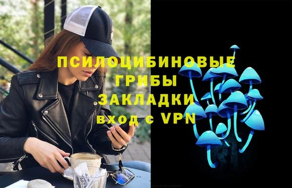 гашик Армянск