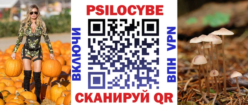 Галлюциногенные грибы Psilocybe  Усолье-Сибирское 